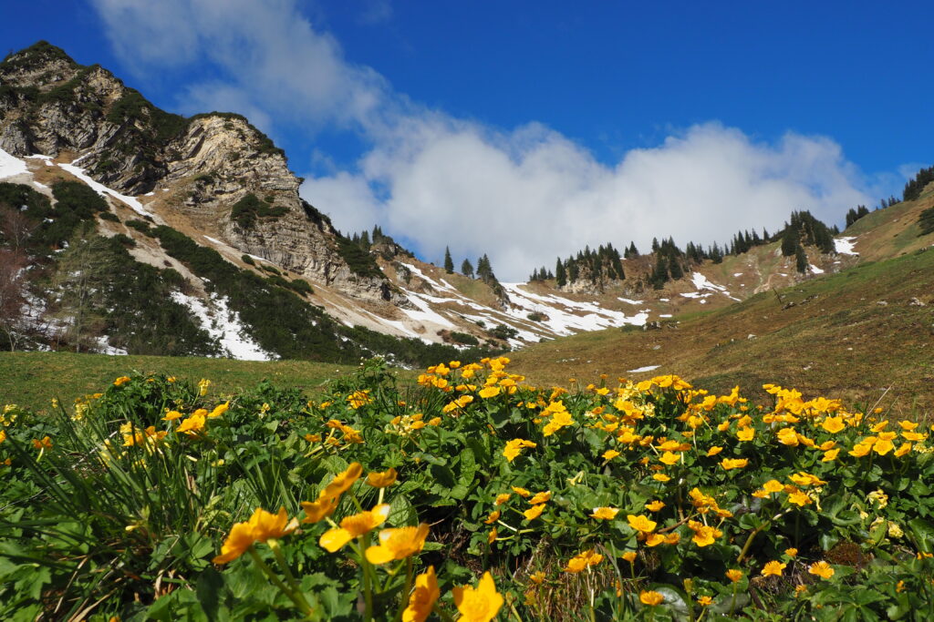 Dahoam in Schleching