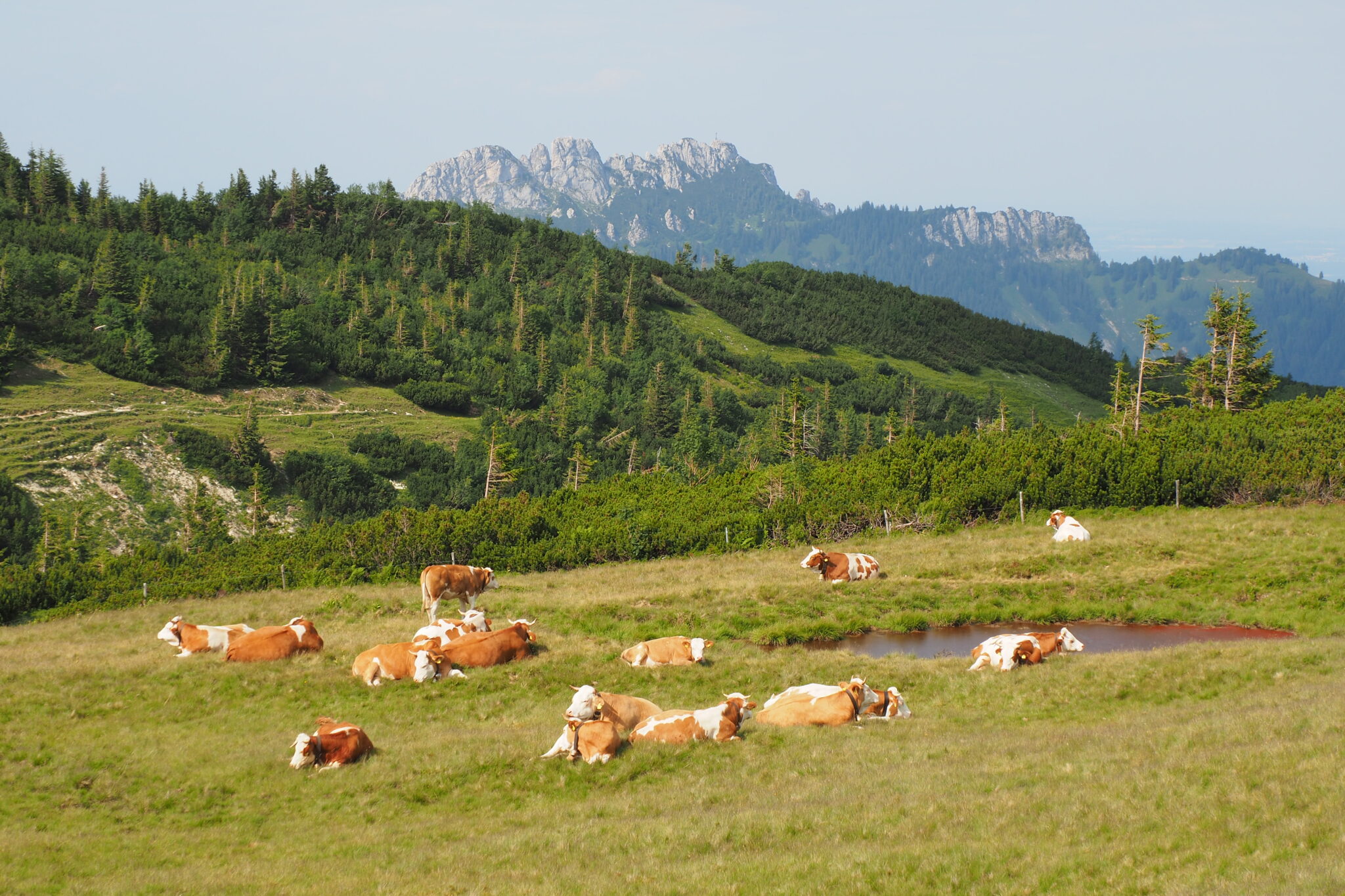 Dahoam in Schleching